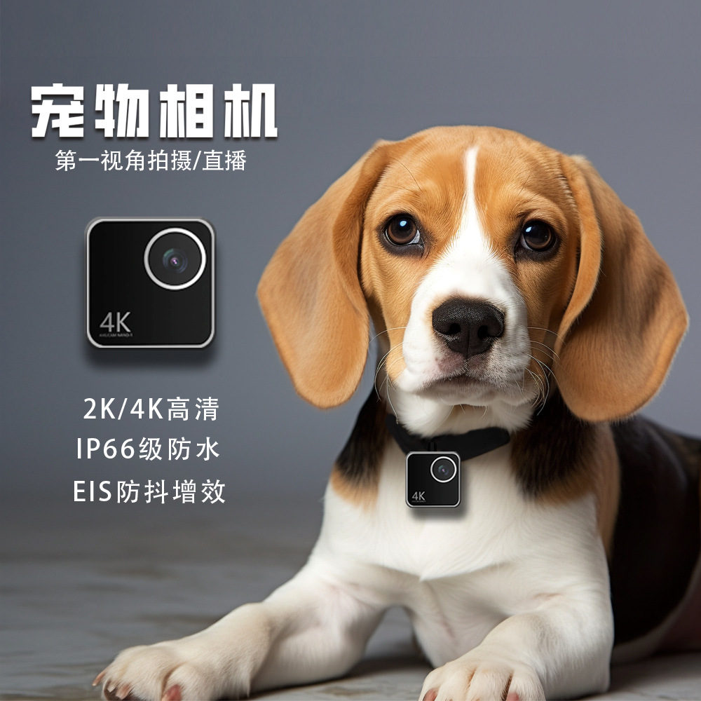 Cameras - กล้องติดปลอกคอสัตว์เลี้ยง กล้องมองจากมุมมองที่หนึ่ง สำหรับแมว สุนัข และสัตว์เลี้ยงอื่นๆ