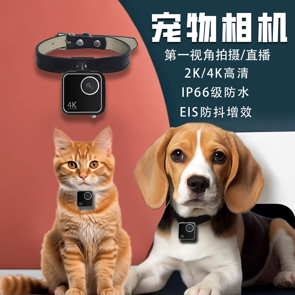 กล้องติดปลอกคอสัตว์เลี้ยง กล้อ - Cameras บทวิจารณ์และราคา