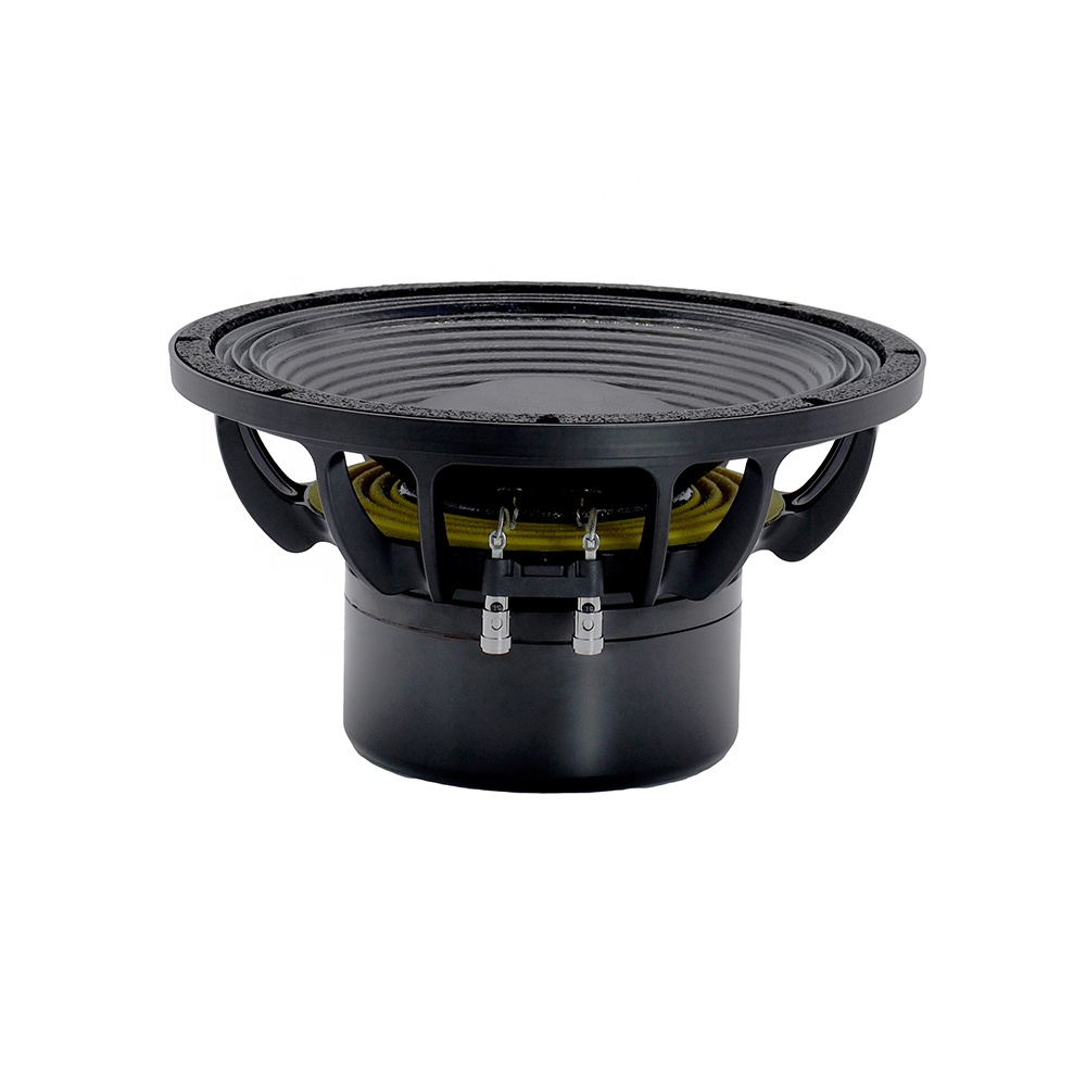 อุปกรณ์เสียงระดับมืออาชีพ 12DS - Speakers บทวิจารณ์และราคา